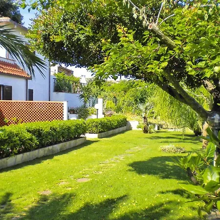 Holiday Capoliveri Ito09276 Sya * 포르투 아주로